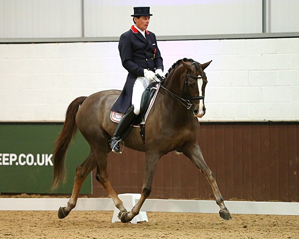 Home 15 - EQUESTRIAN - SLIDESHOW IMAGES