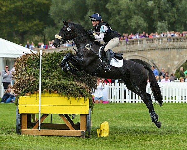 Home 12 - EQUESTRIAN - SLIDESHOW IMAGES