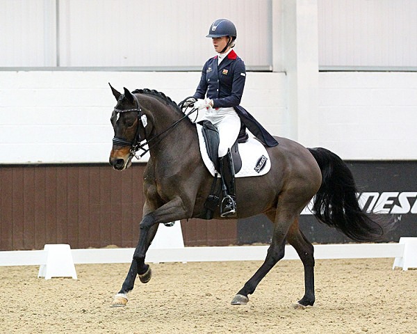 Home 16 - EQUESTRIAN - SLIDESHOW IMAGES