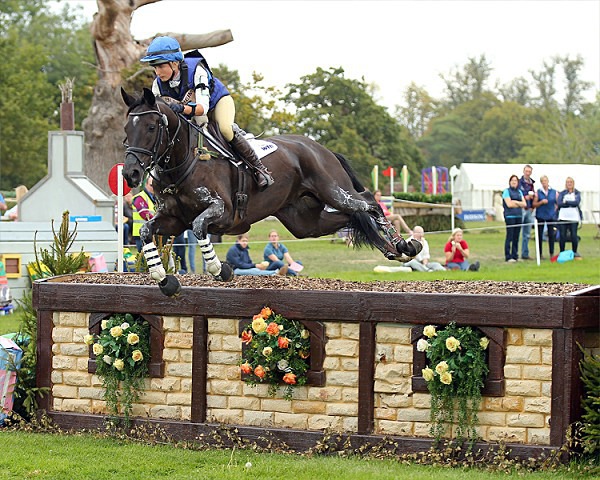 Home 13 - EQUESTRIAN - SLIDESHOW IMAGES