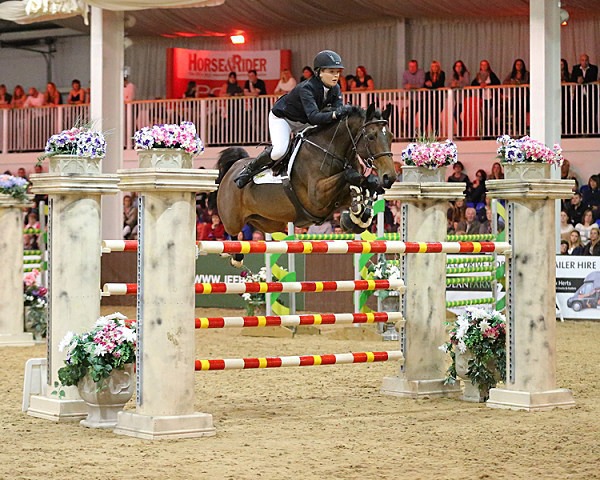 Home 01 - EQUESTRIAN - SLIDESHOW IMAGES