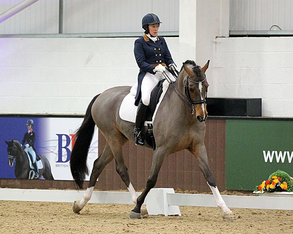 Home 17 - EQUESTRIAN - SLIDESHOW IMAGES