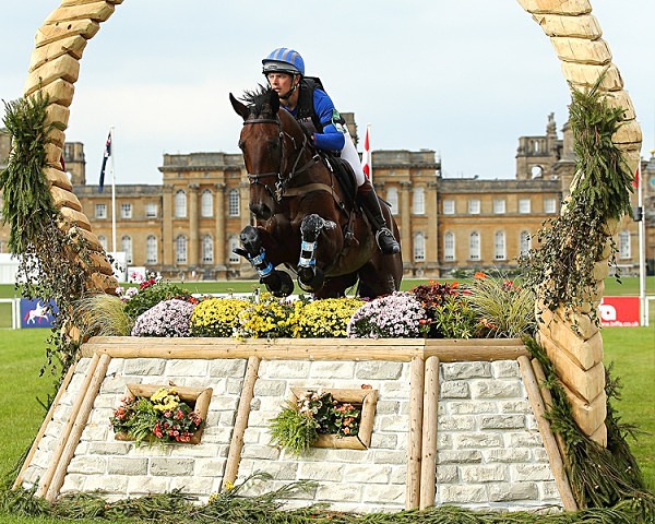 Home 14 - EQUESTRIAN - SLIDESHOW IMAGES