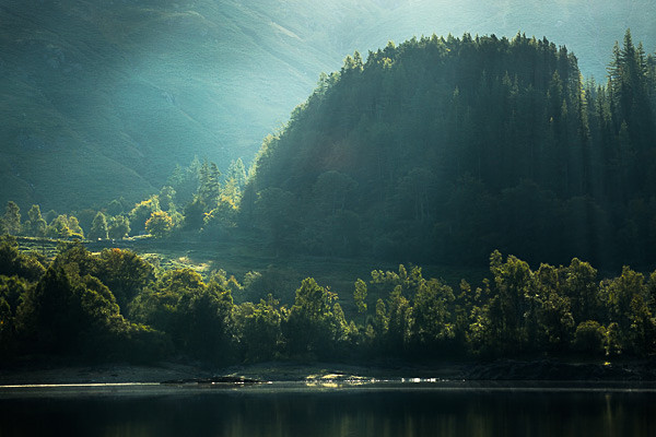 Backlit Trees at Thirlmere - Landscapes