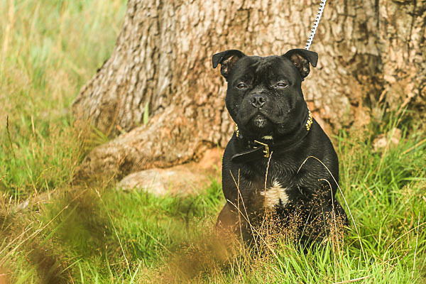  - My Boy (Theo)