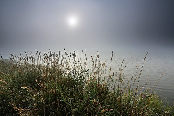  - Landscapes