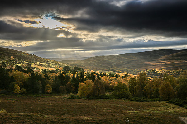 Cairngorms N P, Scotland - Landscapes