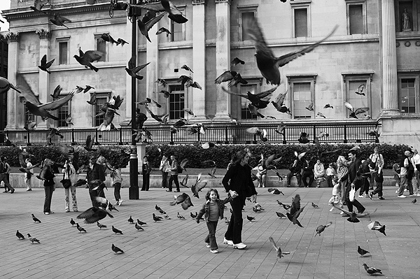 Trafalgar Square - Other images