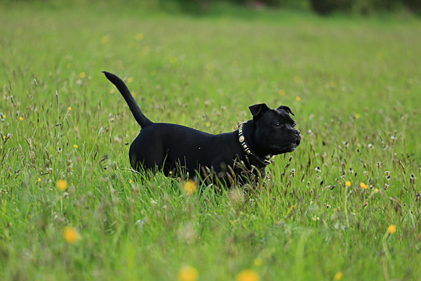  - My Boy (Theo)