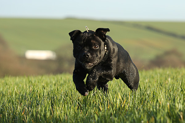  - My Boy (Theo)
