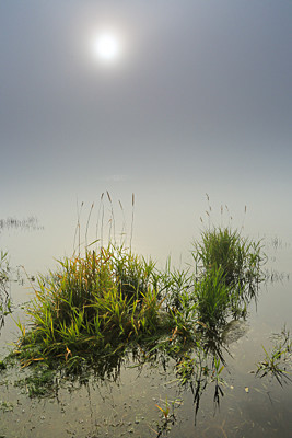  - Landscapes