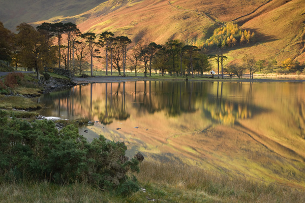 Buttermere - Landscapes