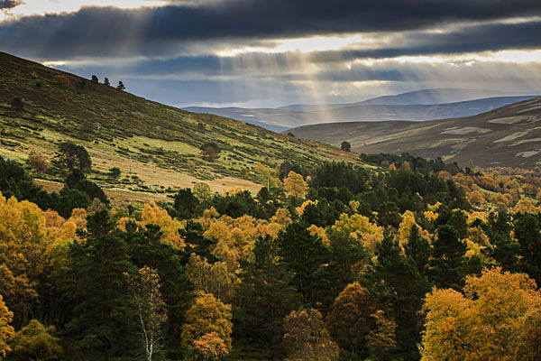 Cairngorms N P, Scotland - Landscapes