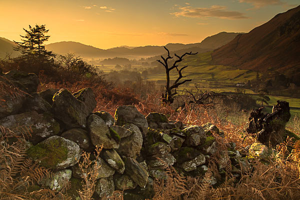 Looking down towards Grasmere - Landscapes