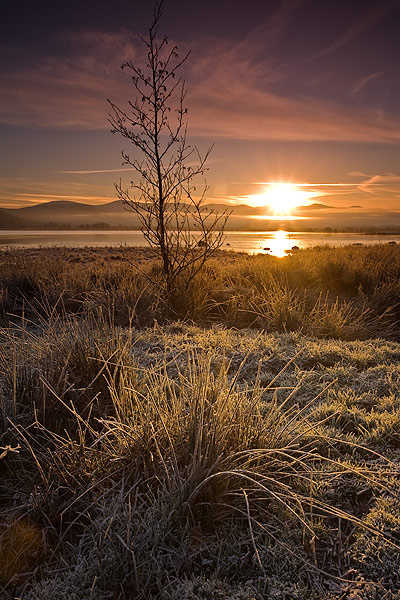 Bassenthwaite - Landscapes
