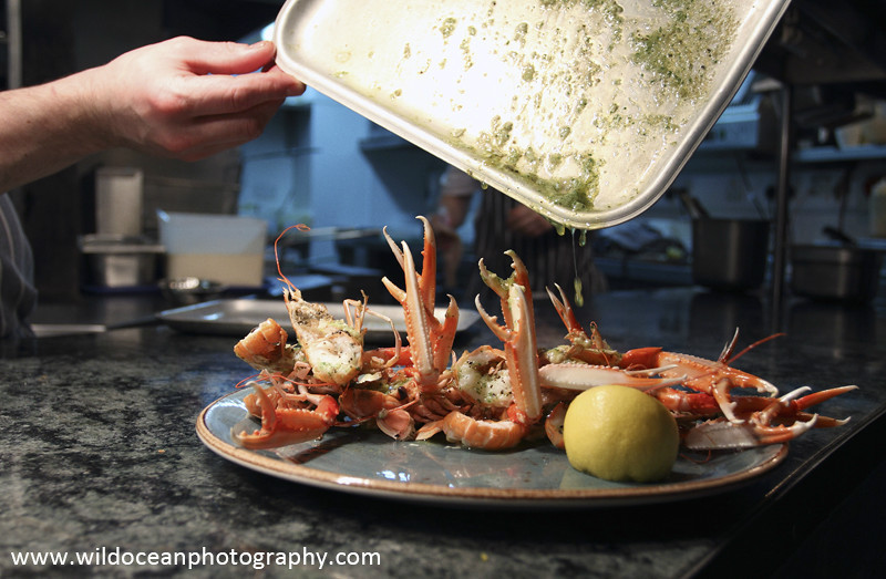 GSF012 - Finishing touches - 'Creel to Meal' (Glasgow Science Festival)
