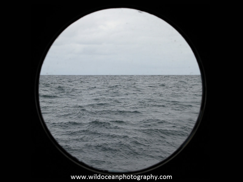 Day 15 - Days at Sea