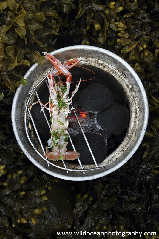 GSF009 - BBQ Langoustine - 'Creel to Meal' (Glasgow Science Festival)