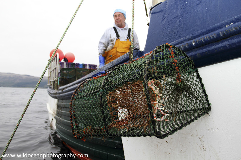 GSF002 - Hauling the creels - 'Creel to Meal' (Glasgow Science Festival)