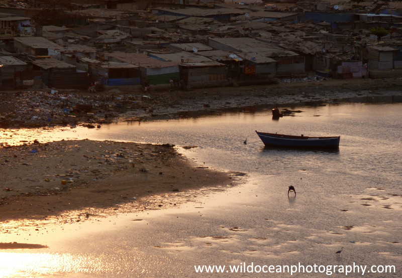 ANG016: Evening fishing - Angola (W. Africa)