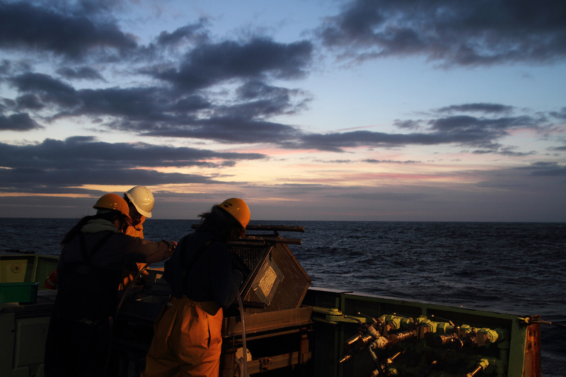HSC008: Working at Sea - Marine Science and Conservation