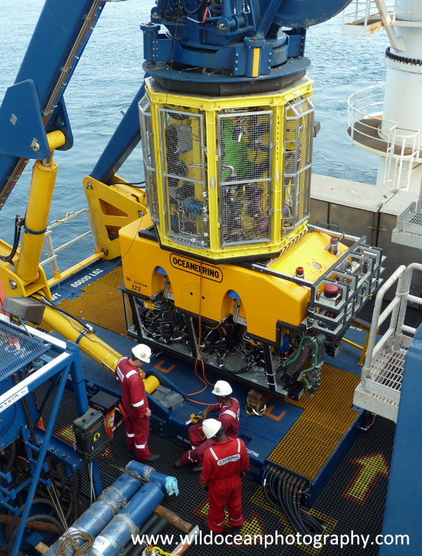 OSG010: ROV - Oil / Gas / Shipping