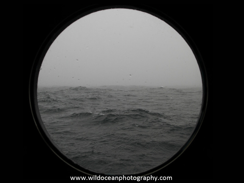 Day 16 - Days at Sea
