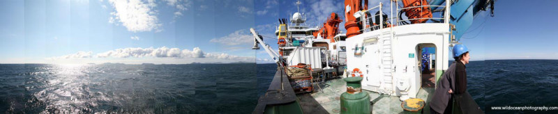 HSC031: JC Back Deck - Marine Science and Conservation