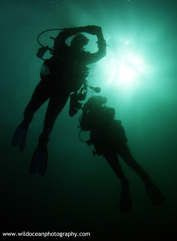 OSW034: Diver silhouettes - Shipwrecks and Divers