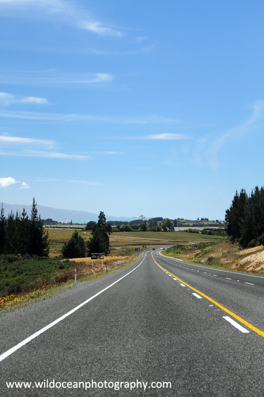 NZ023: Driving through Marlborough - New Zealand (Wellington & South Island)
