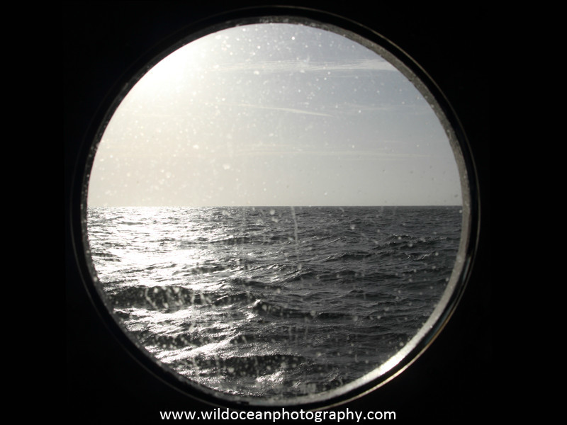 Day 17 - Days at Sea