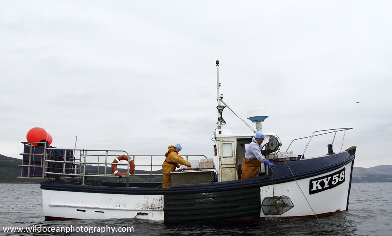 GSF001 - Hauling the creels - 'Creel to Meal' (Glasgow Science Festival)