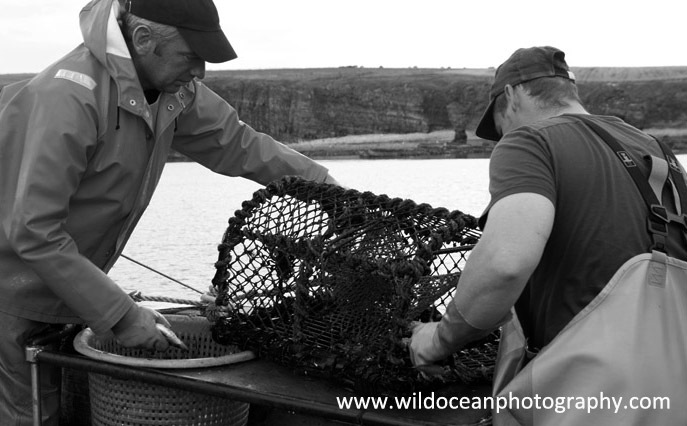 HCF016: Working the pots - Creel (Trap) Fisheries
