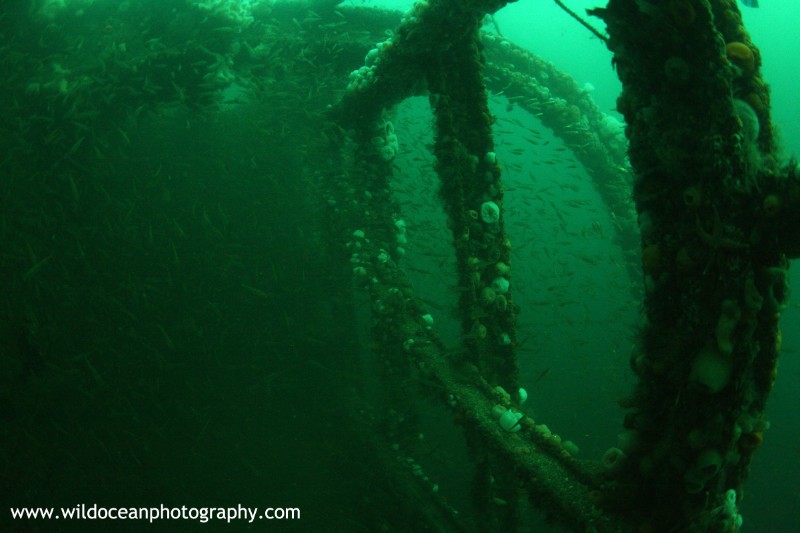 USW038: Inside the Coln - Shipwrecks and Divers
