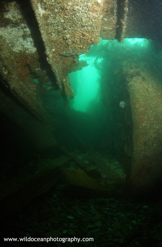 USW004: Gobernador Bories - Shipwrecks and Divers