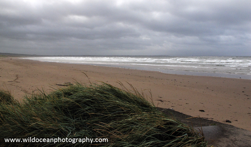 SCE013: Troon Beach - Seascapes