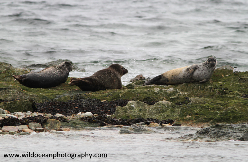  - Seals