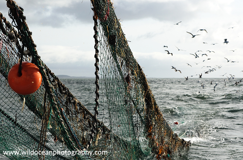 sailboat vs fishing boat hauling nets