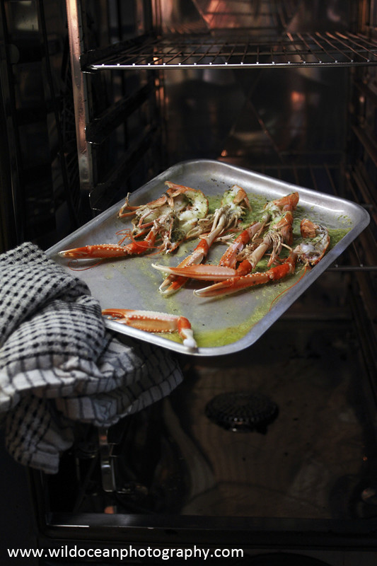 GSF011- Grilled Langoustines - 'Creel to Meal' (Glasgow Science Festival)
