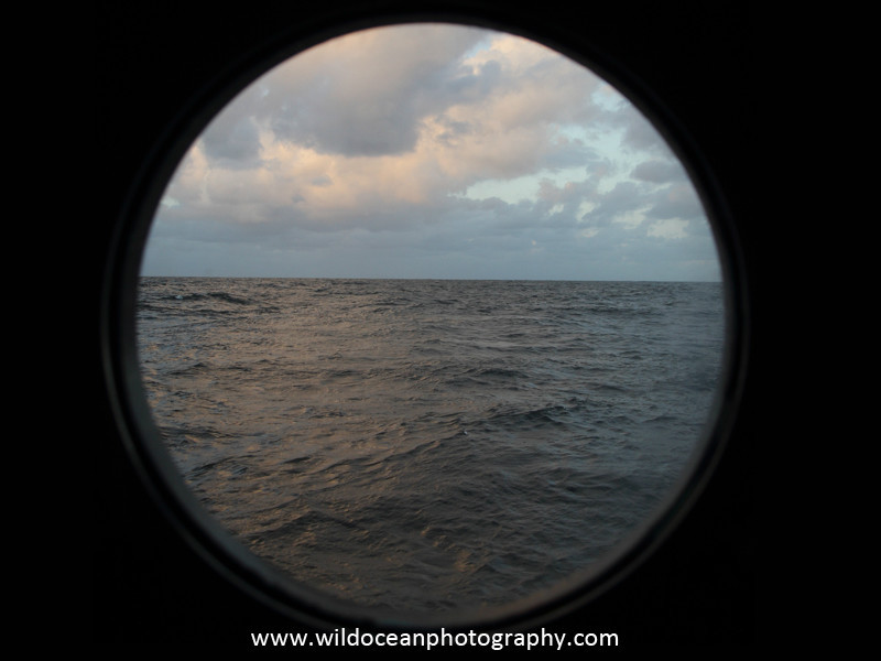 Day 11 - Days at Sea
