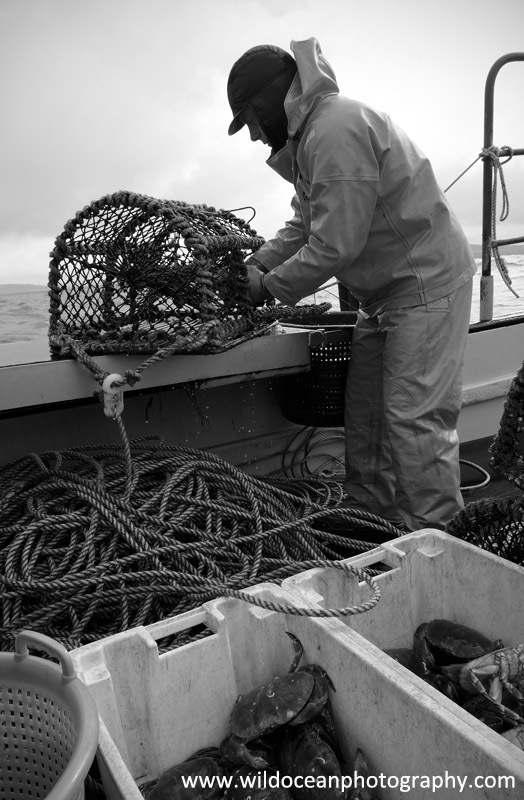 HCF017: Working the pots - Creel (Trap) Fisheries