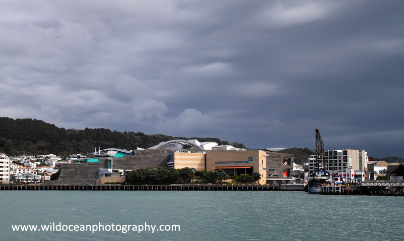 NZ029: Te Papa museum - New Zealand (Wellington & South Island)
