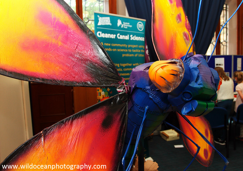 GSFSS-012: Litter Bug - Weekend Events (GSF)