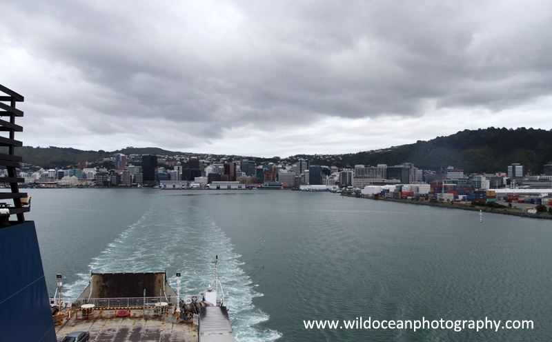 NZ022: Leaving Wellington - New Zealand (Wellington & South Island)
