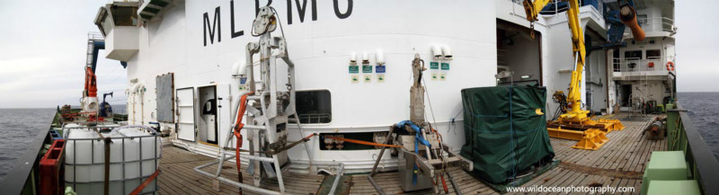 HSC033: JC Side Deck - Marine Science and Conservation
