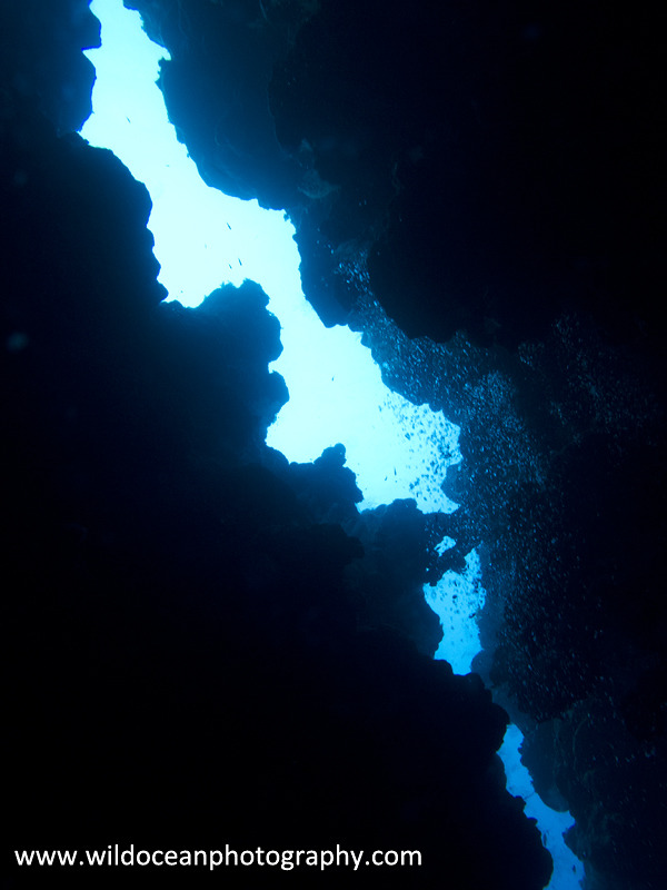 RS006: The Canyon - Red Sea / Sinai Peninsula