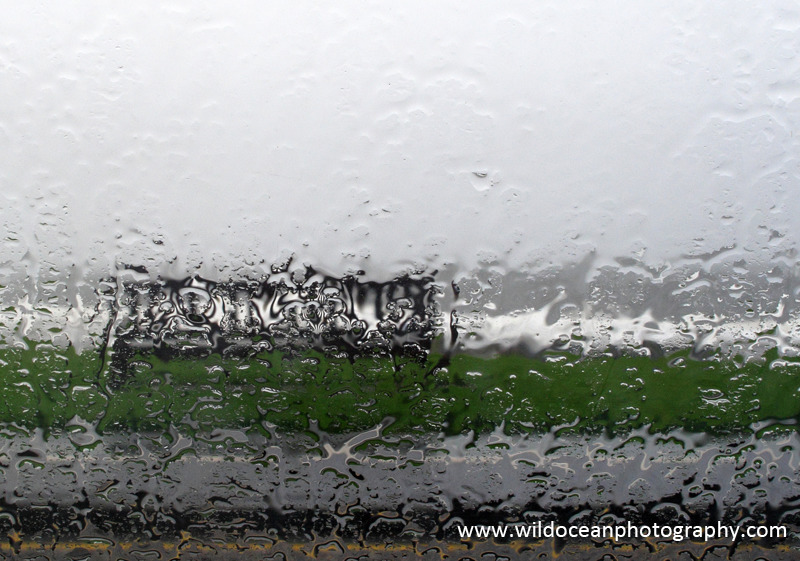 SCE012: Let's stay inside - Seascapes