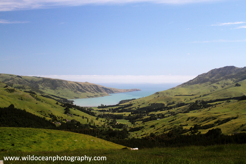 NZ002: Akaroa view - New Zealand (Wellington & South Island)