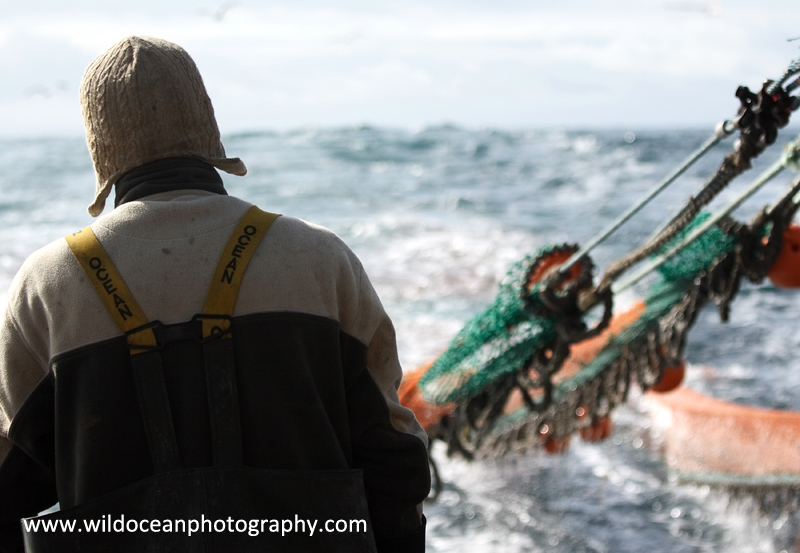 HTF013: Trawlerman - Trawl Fisheries