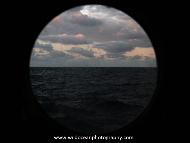 Day 13 - Days at Sea